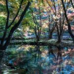 軽井沢　雲場池