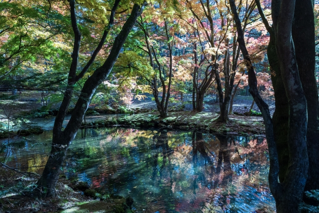 軽井沢　雲場池